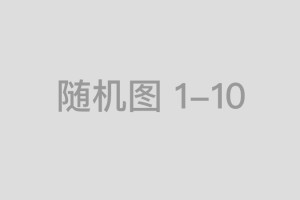 奴才提水向前跑代表哪一个生肖，精选词语释义落实